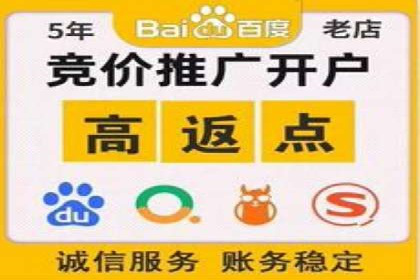 提升关键词竞价排名转化率：经典案例解析
